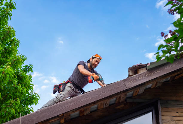 Best Gutter Installation and Repair  in Montague, MI