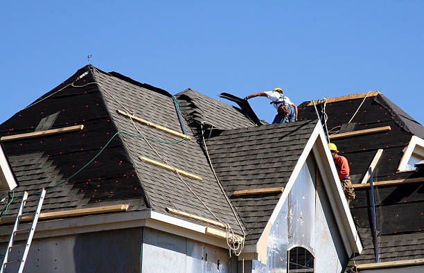 Best Roof Coating and Sealing  in Montague, MI
